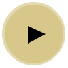 home-play-icon.png
